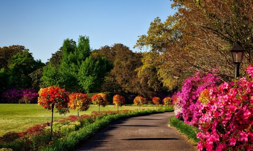 bellingrath gardens, alabama, landscape-1612727.jpg